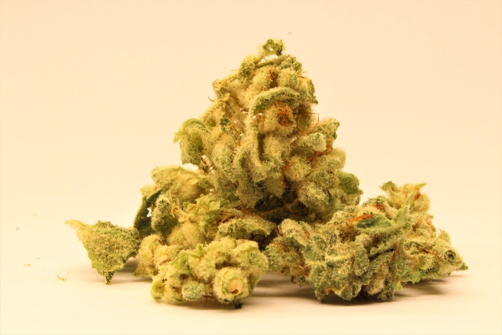 Green Degree photo 3