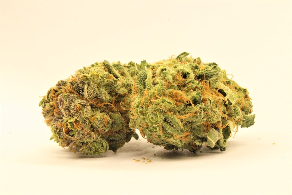 Green Degree photo 6