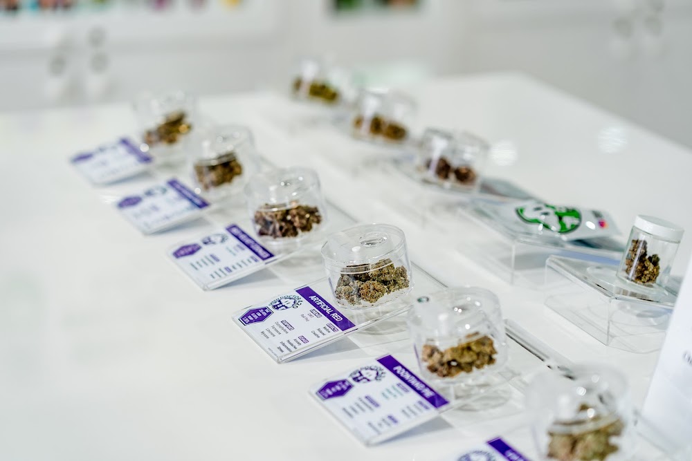 Green Doctor 420 - Hefner photo 3