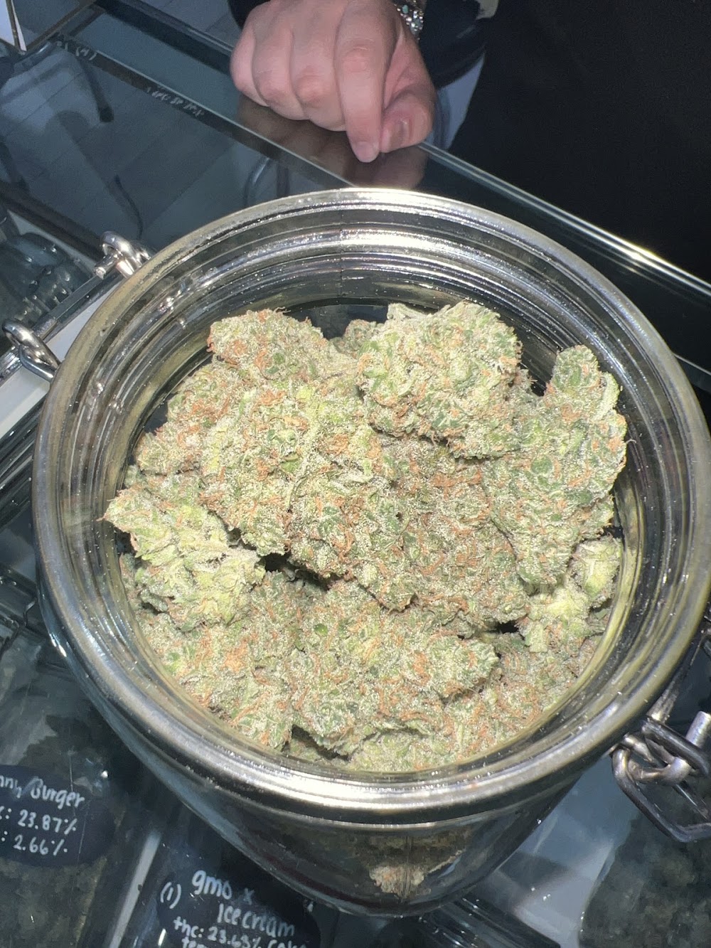 Green Doctor 420 - Hefner photo 7