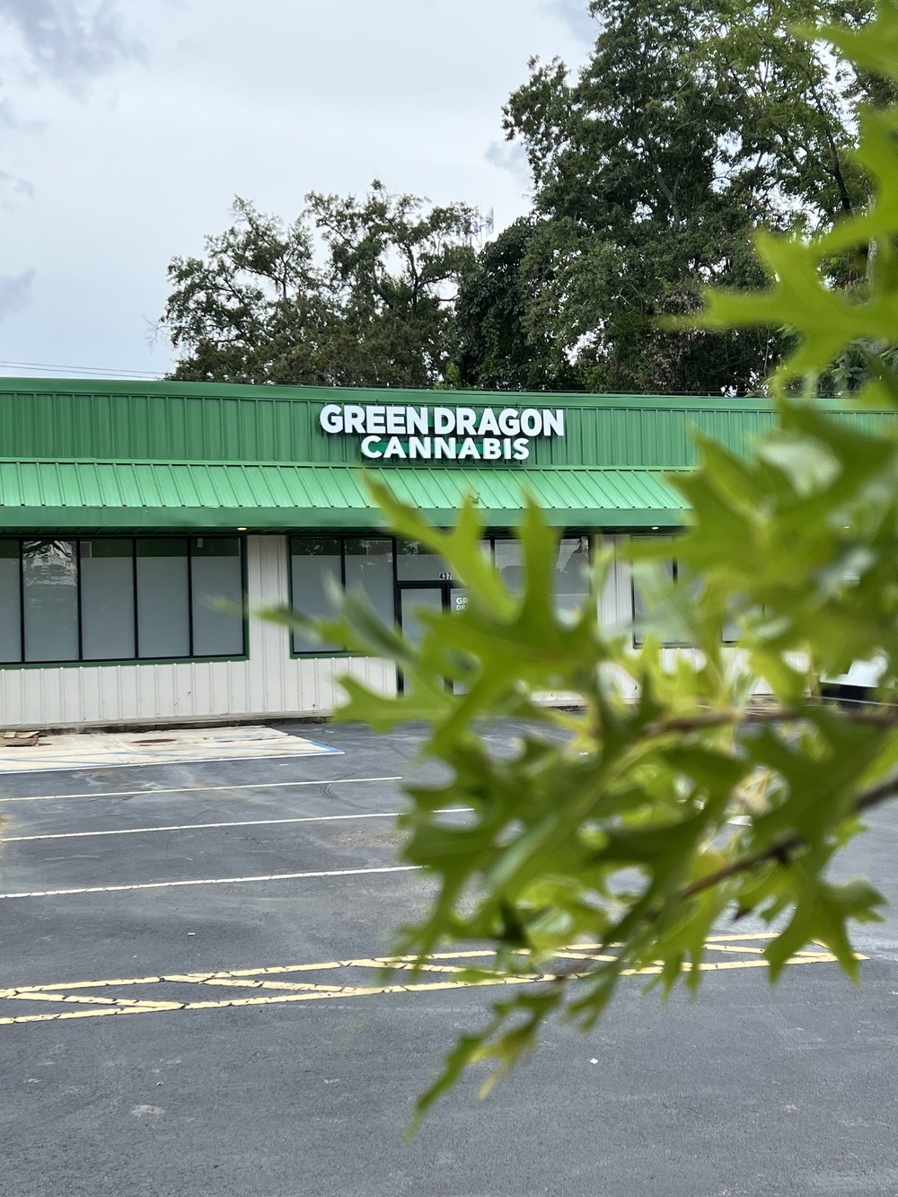 Green Dragon photo 1