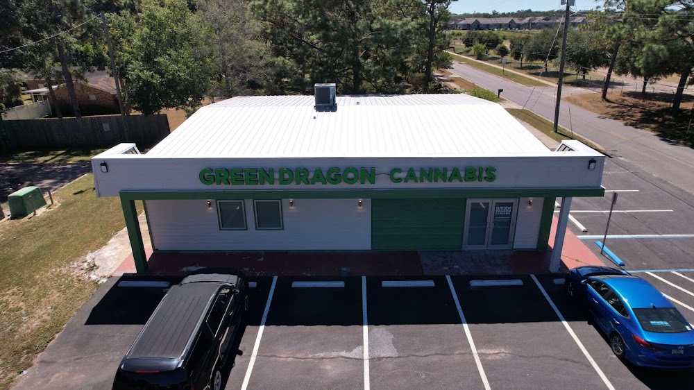 Green Dragon photo 4