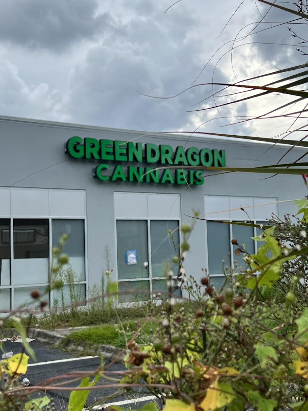 Green Dragon photo 1