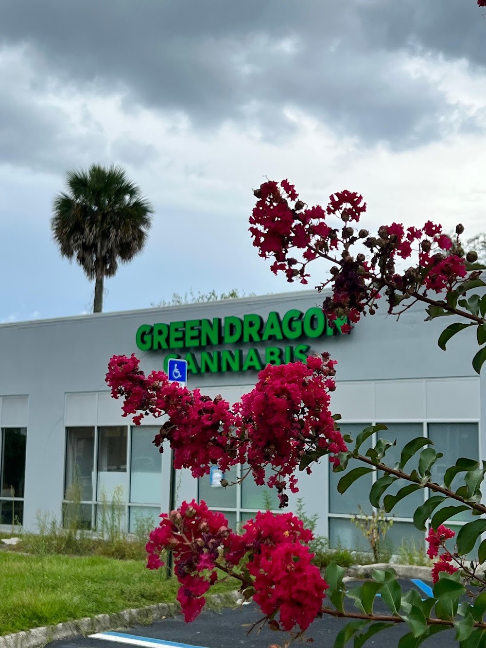 Green Dragon photo 5
