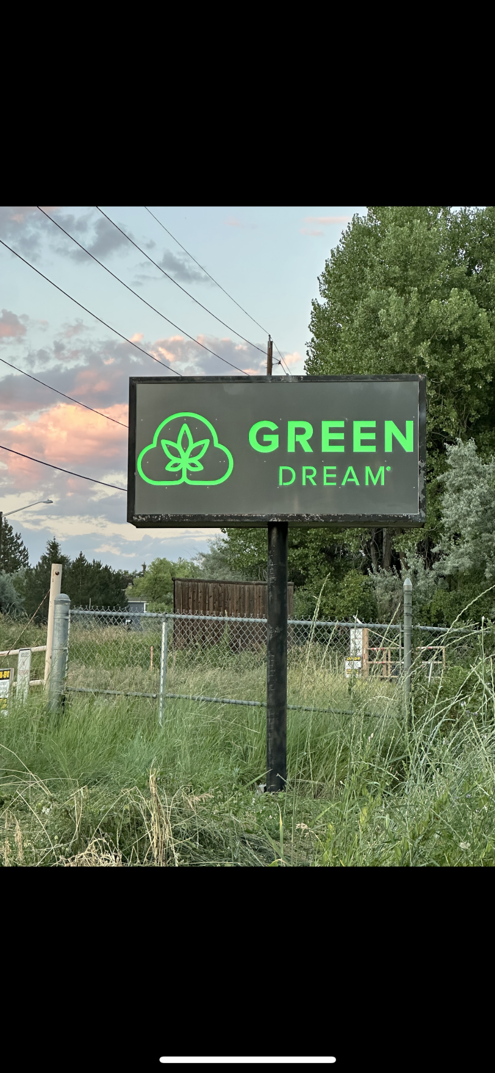 Green Dream Cannabis photo 8