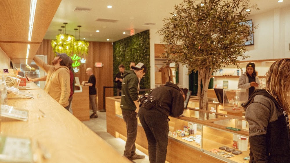 Green Earth Collective photo 6