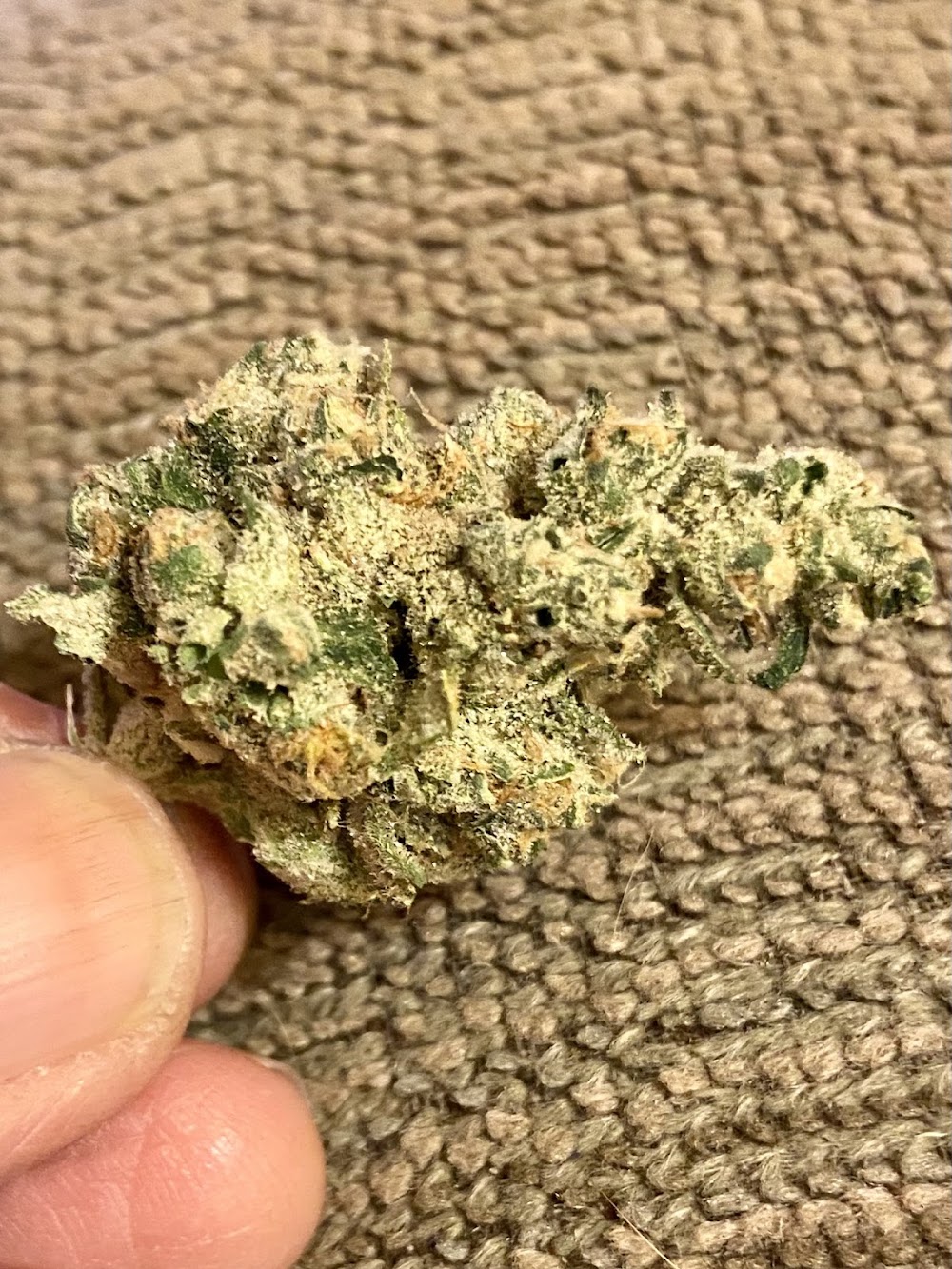 Green Escape - Okc photo 3