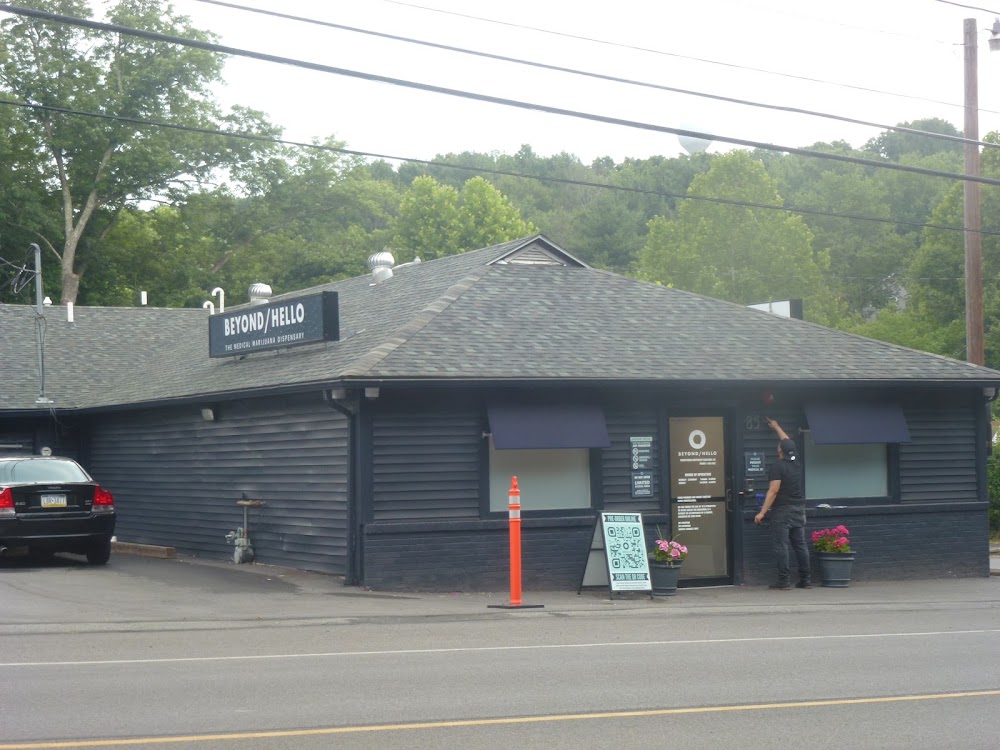 Green Goods - Stroudsburg photo 1
