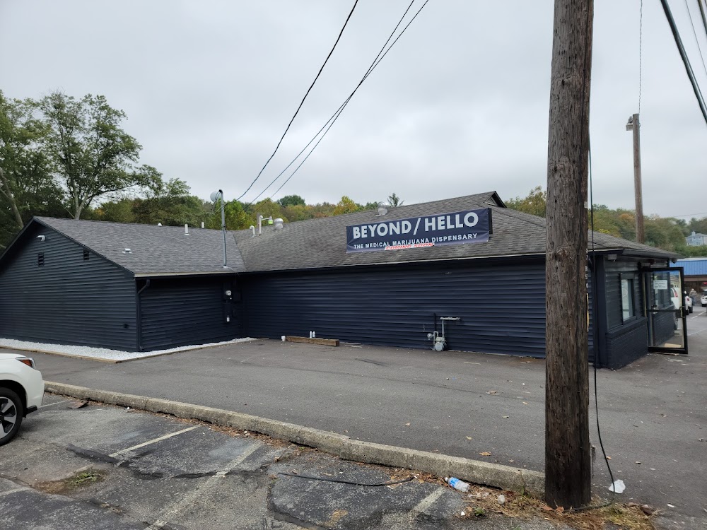Green Goods - Stroudsburg photo 5
