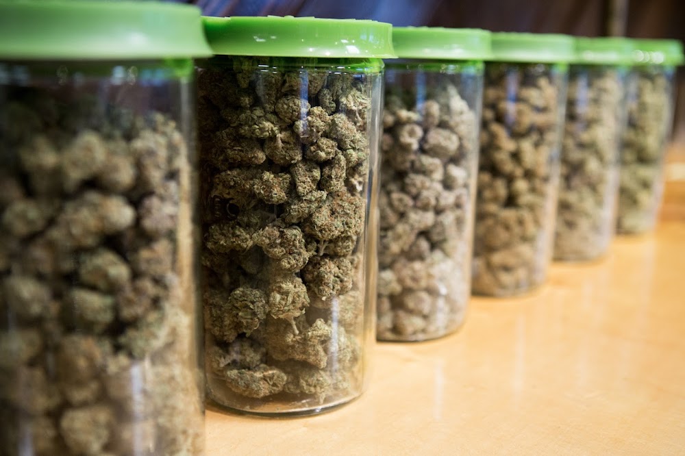 Green Jar photo 2