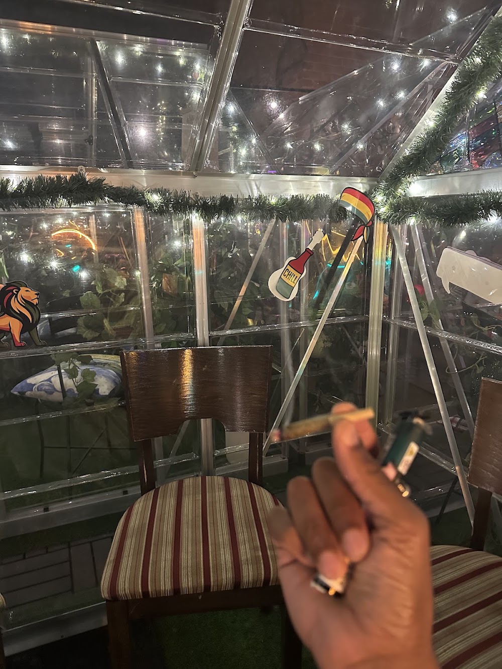 Green Klub photo 4