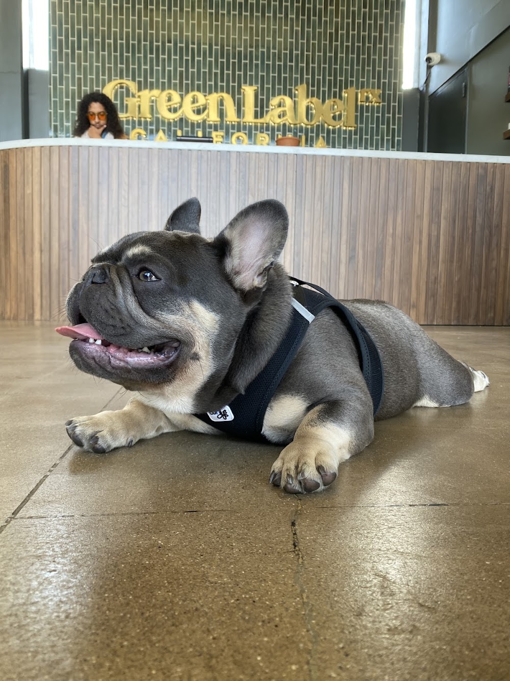 Green Label Rx photo 4