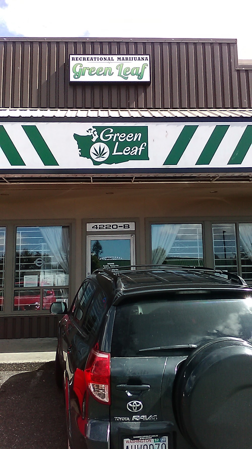 Green Leaf photo 5