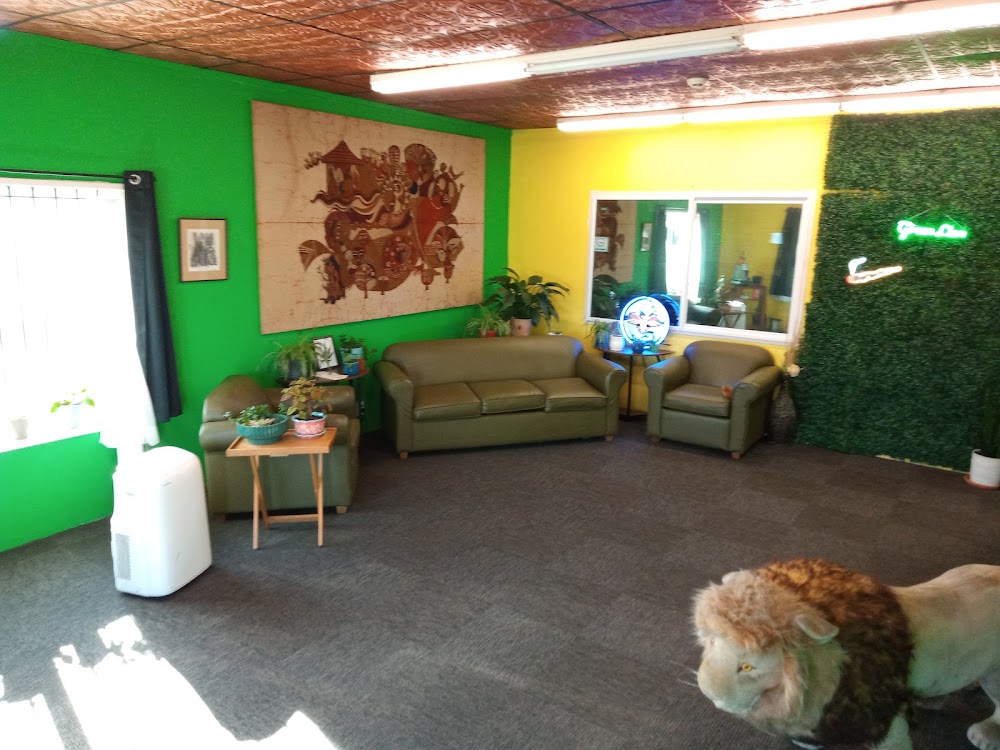 Green Lion photo 6