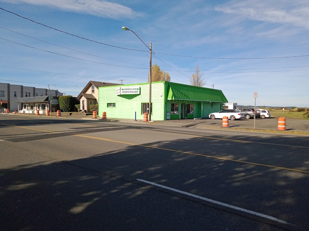 Green Lion photo 7