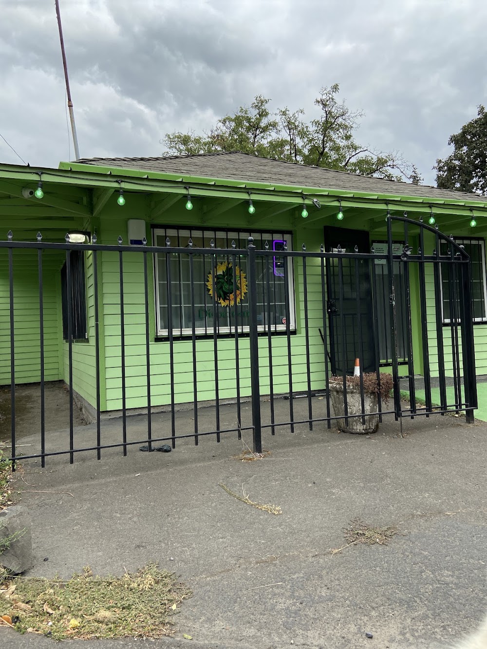Green Lion photo 6