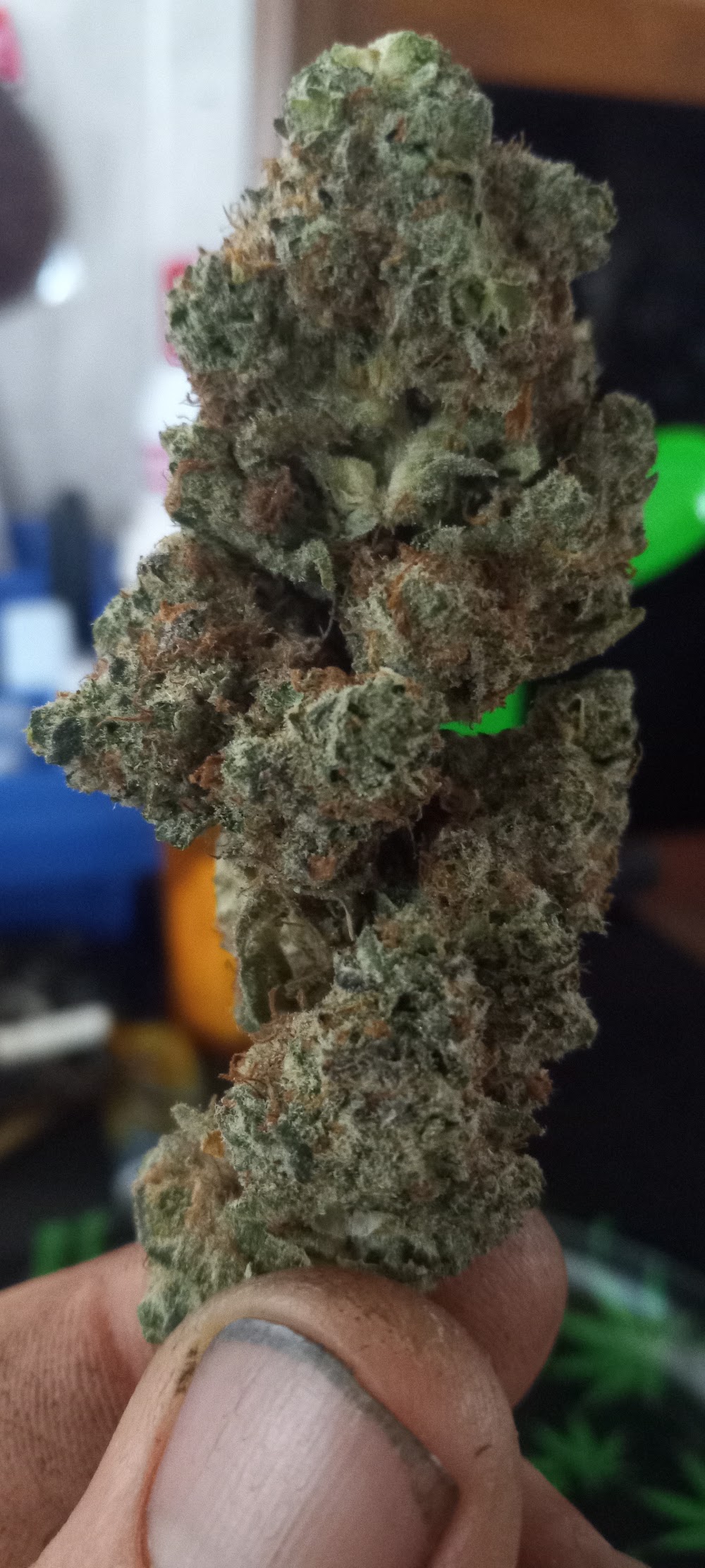 Green Monkey Dispensary photo 8