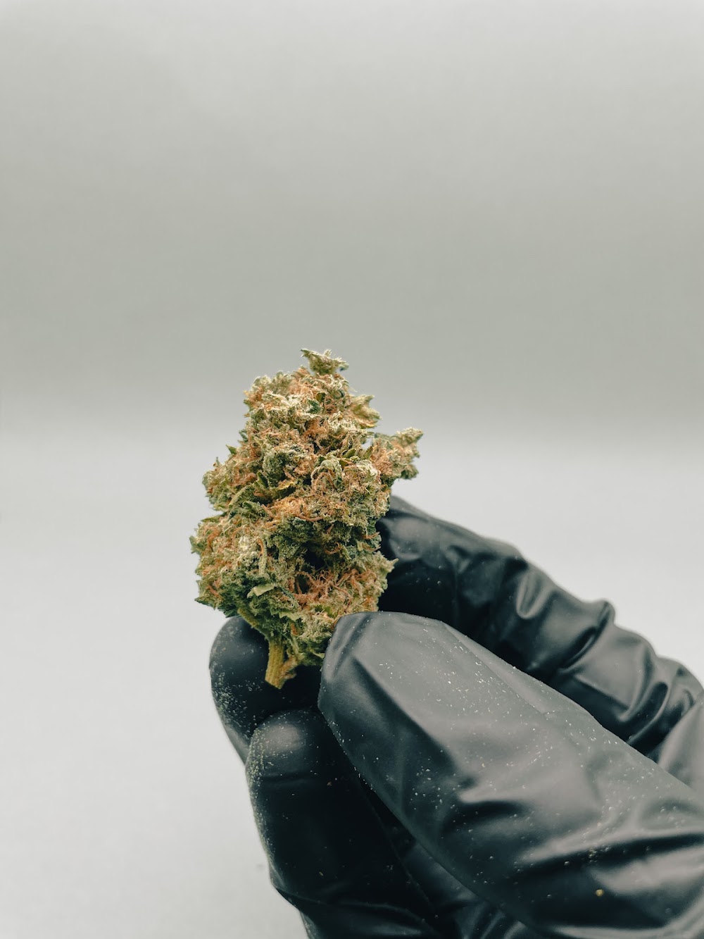 Green Pharm photo 3