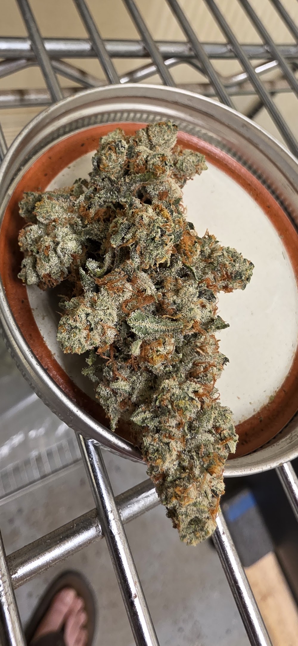 Green Pharm photo 4