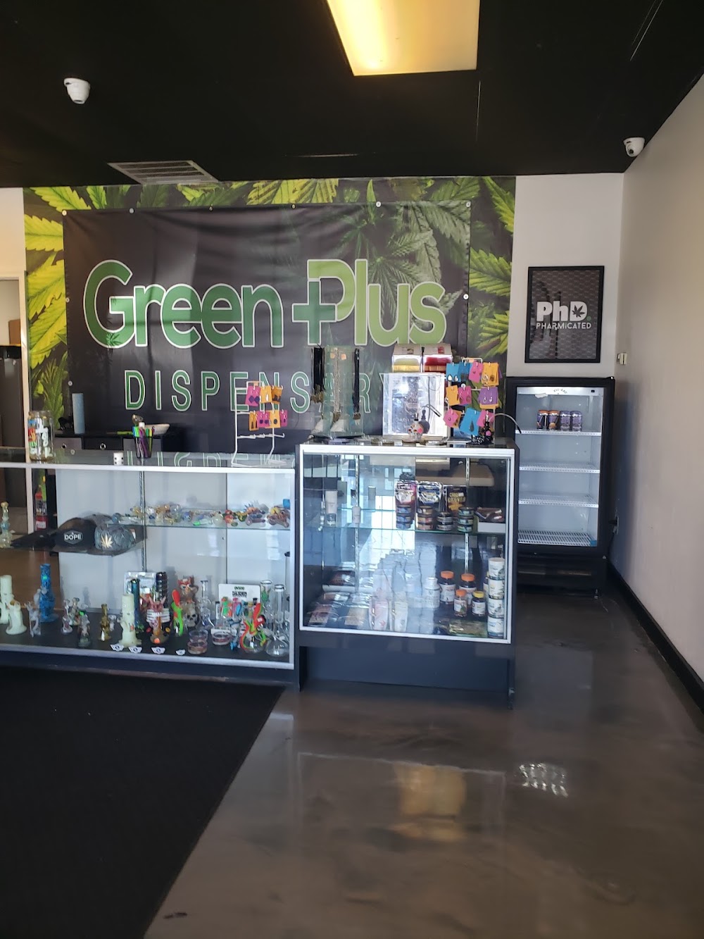 Green Plus - Reno Powered By Next Elevation photo 3