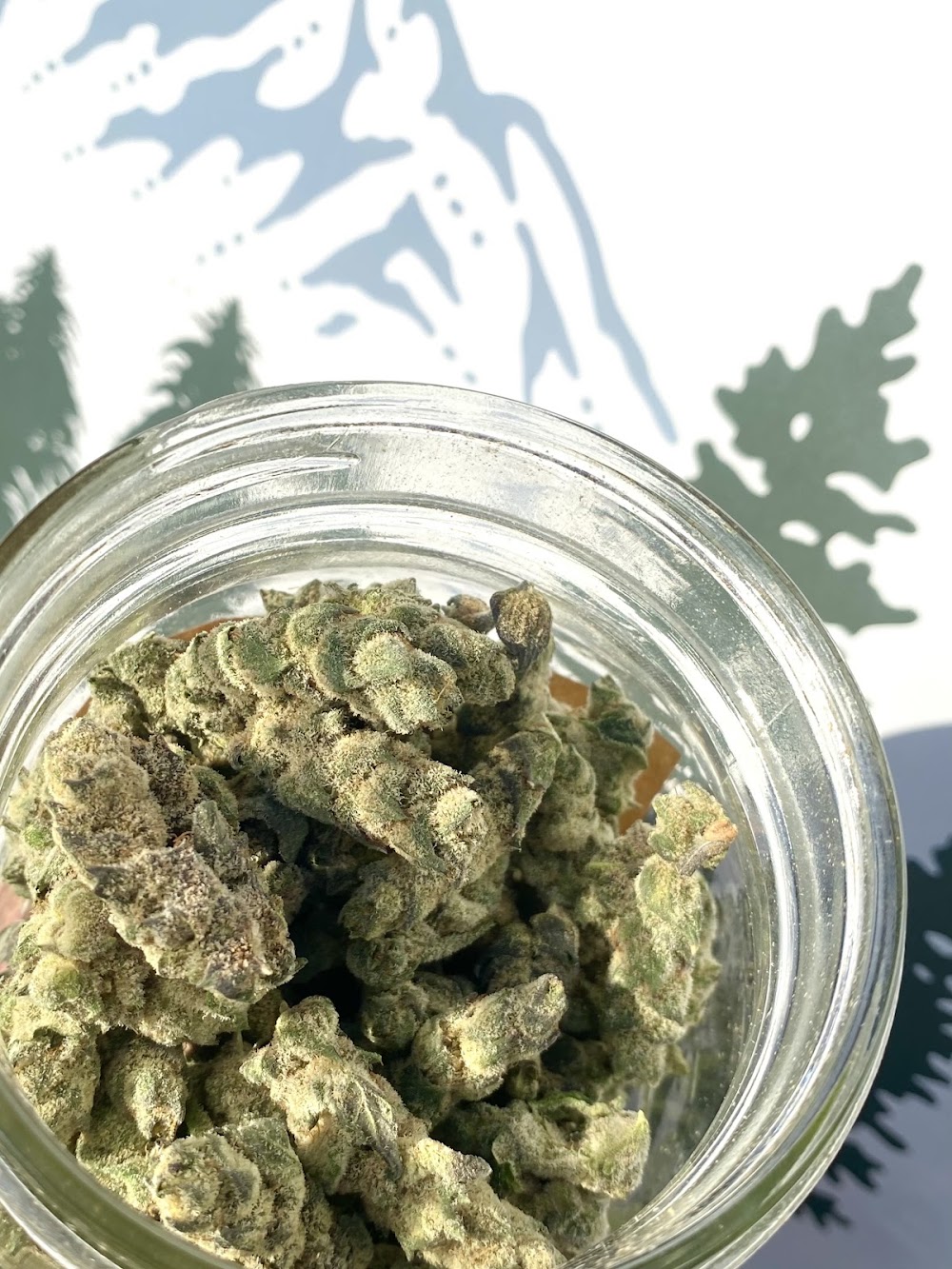 Green Ridge Apothecary photo 4