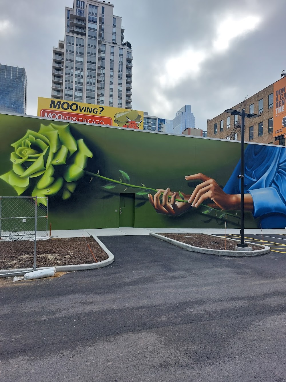 Green Rose - Chicago photo 7