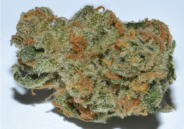 Green Springs Medical photo 3