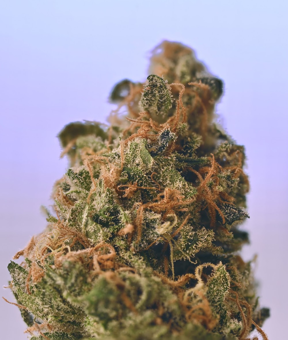 Green Union Dispensary photo 7