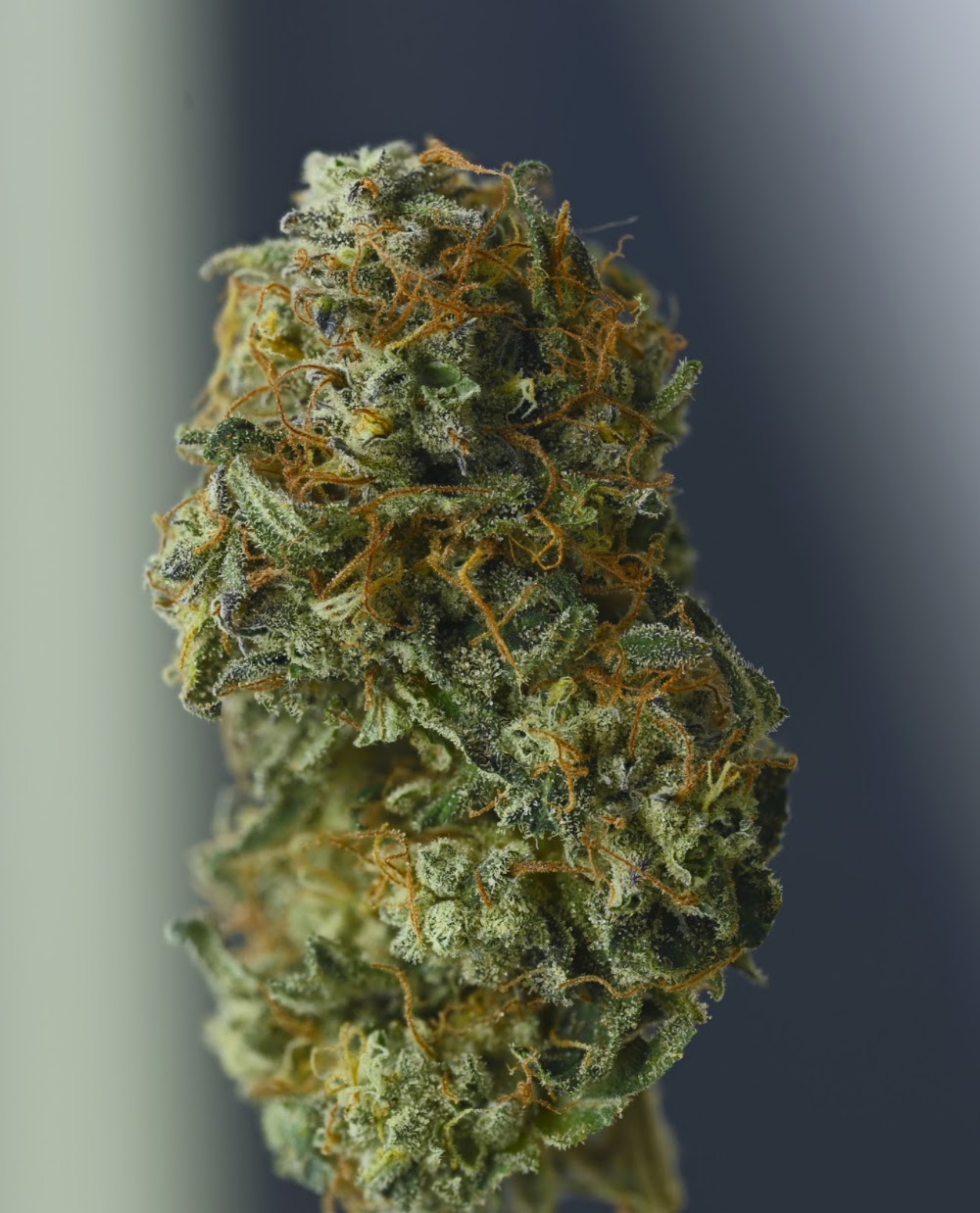 Green Union Dispensary photo 8