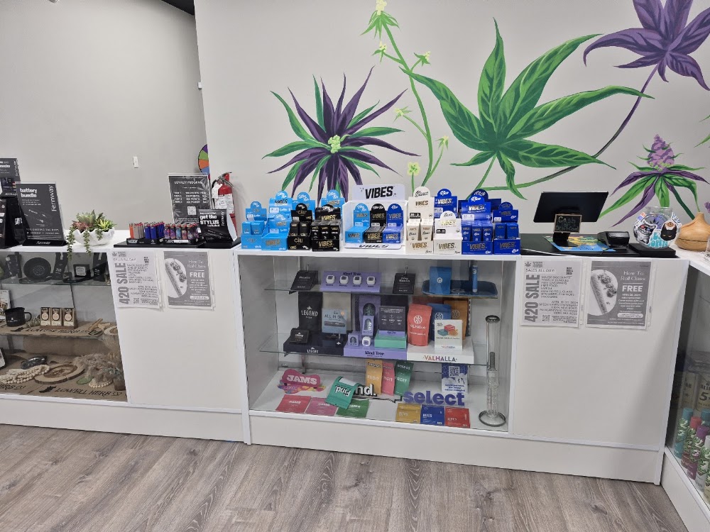 Green Wellness Haven photo 2