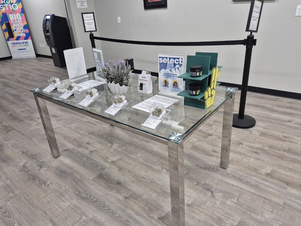 Green Wellness Haven photo 3