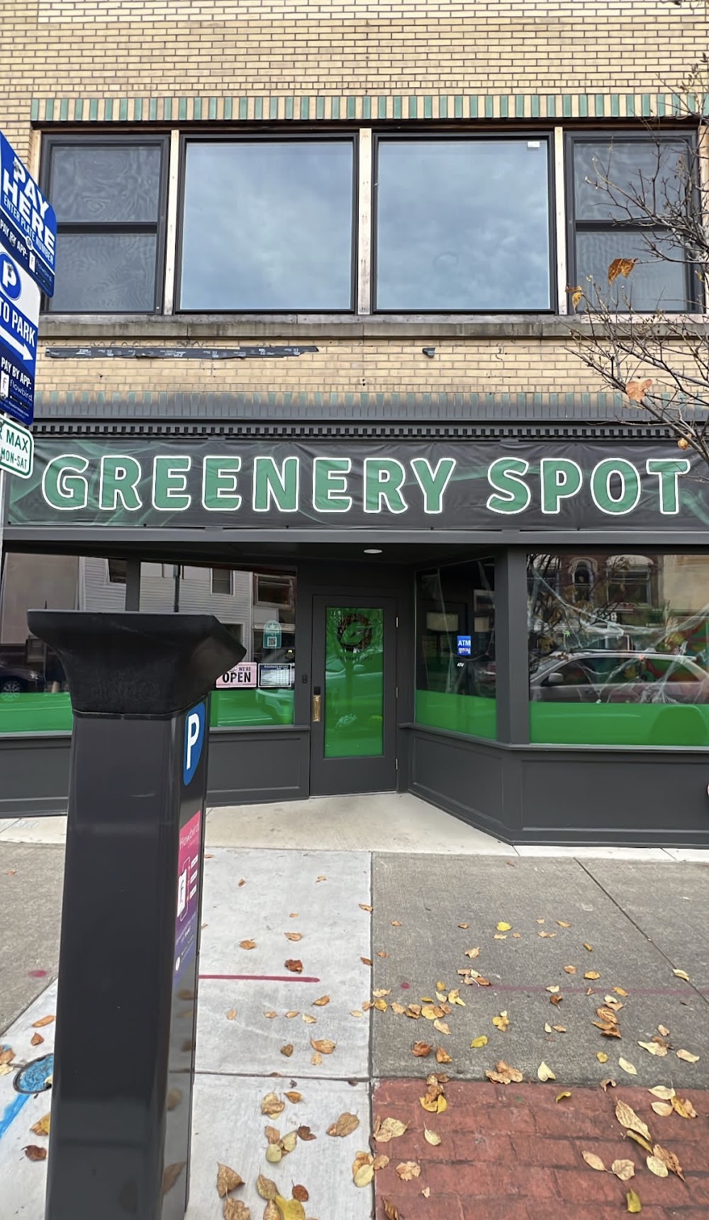 Greenery Spot photo 7