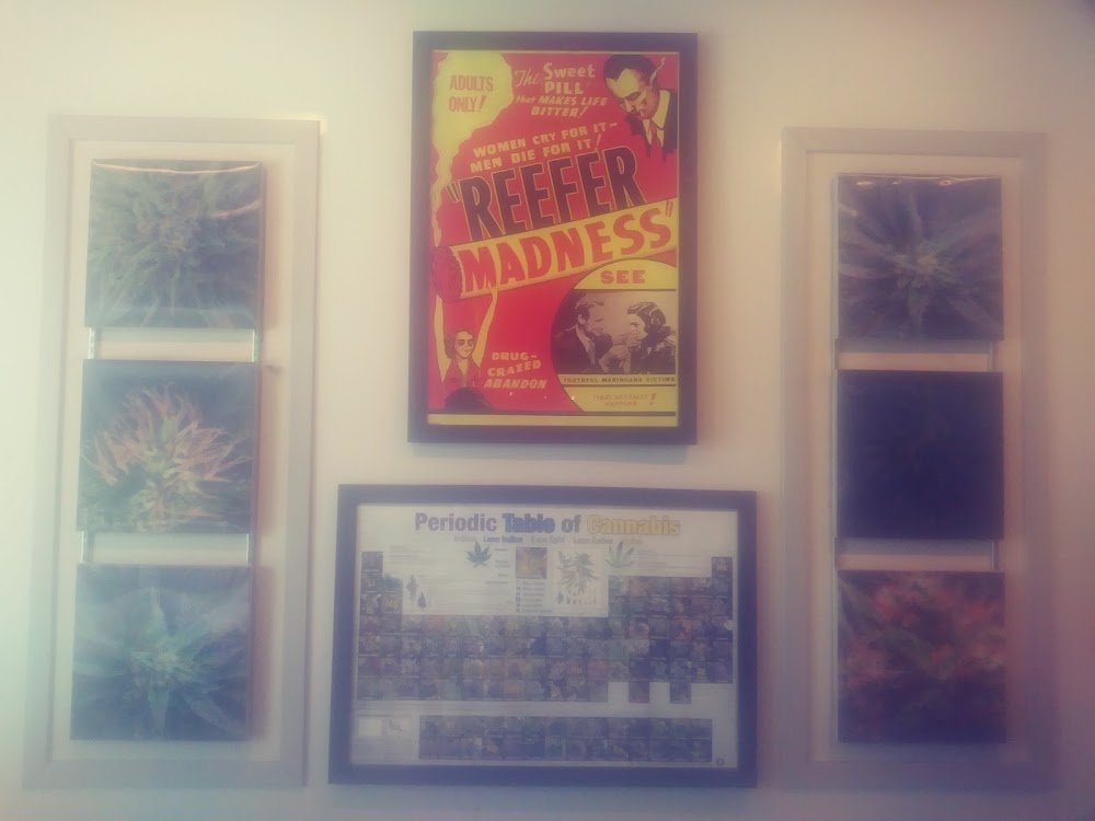 Greenhand photo 7