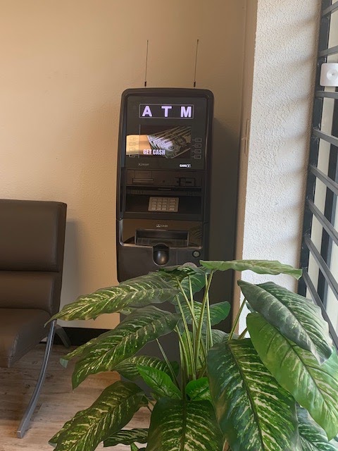 Greenhub Cannabis Club photo 4