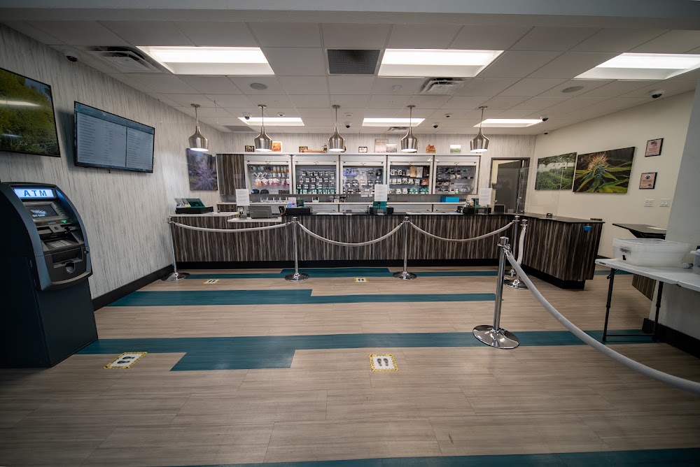 Greenleaf Wellness Cannabis Weed Dispensary Reno photo 3