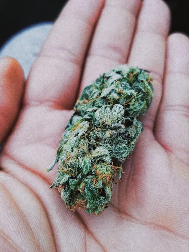 Greenlight Dispensary photo 3