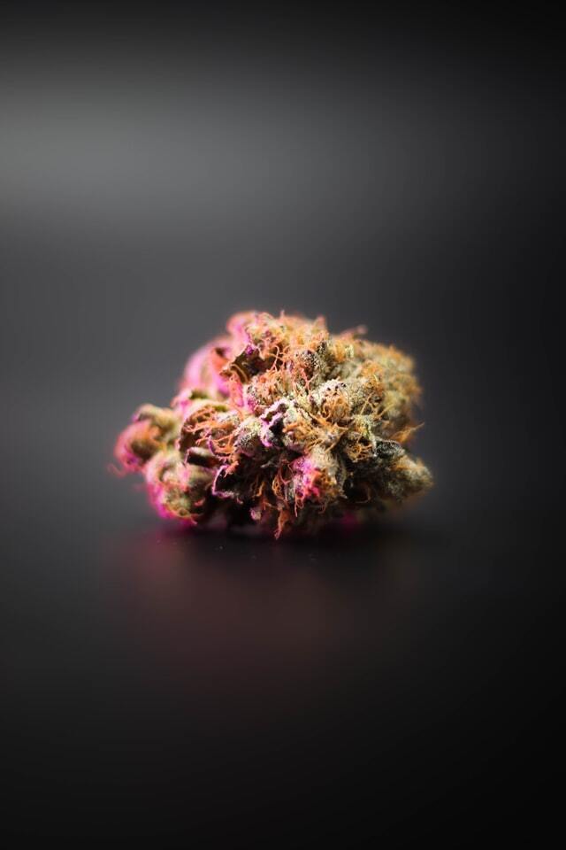 Greenlight Dispensary photo 7
