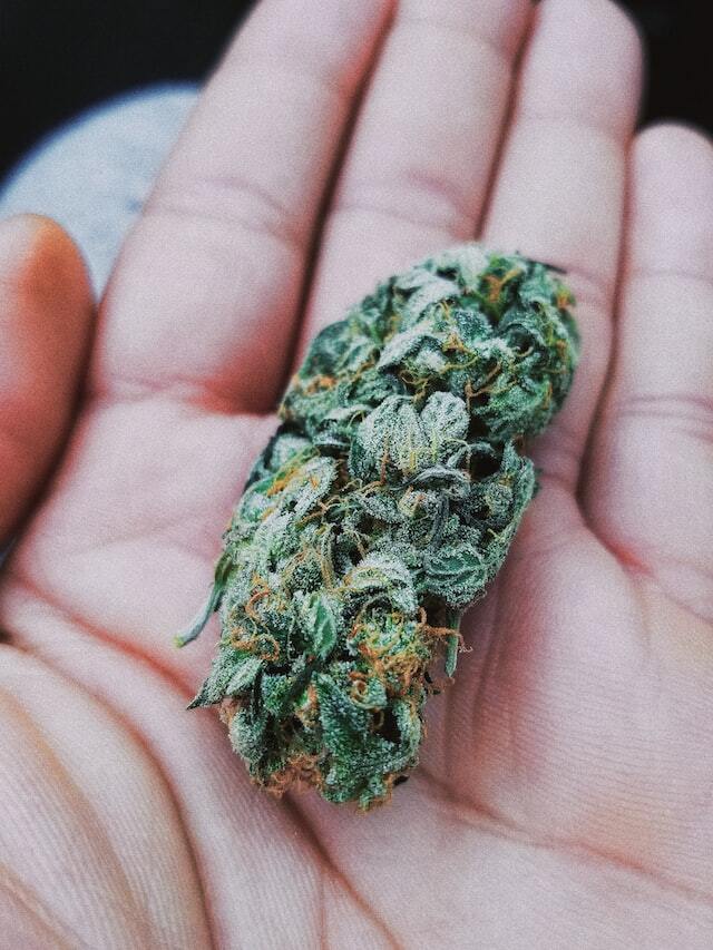 Greenlight Dispensary photo 3
