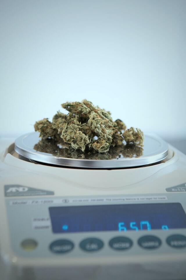 Greenlight Dispensary photo 6