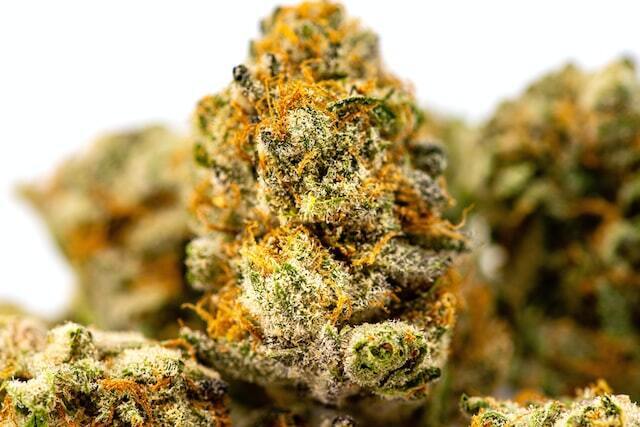 Greenlight Dispensary photo 3
