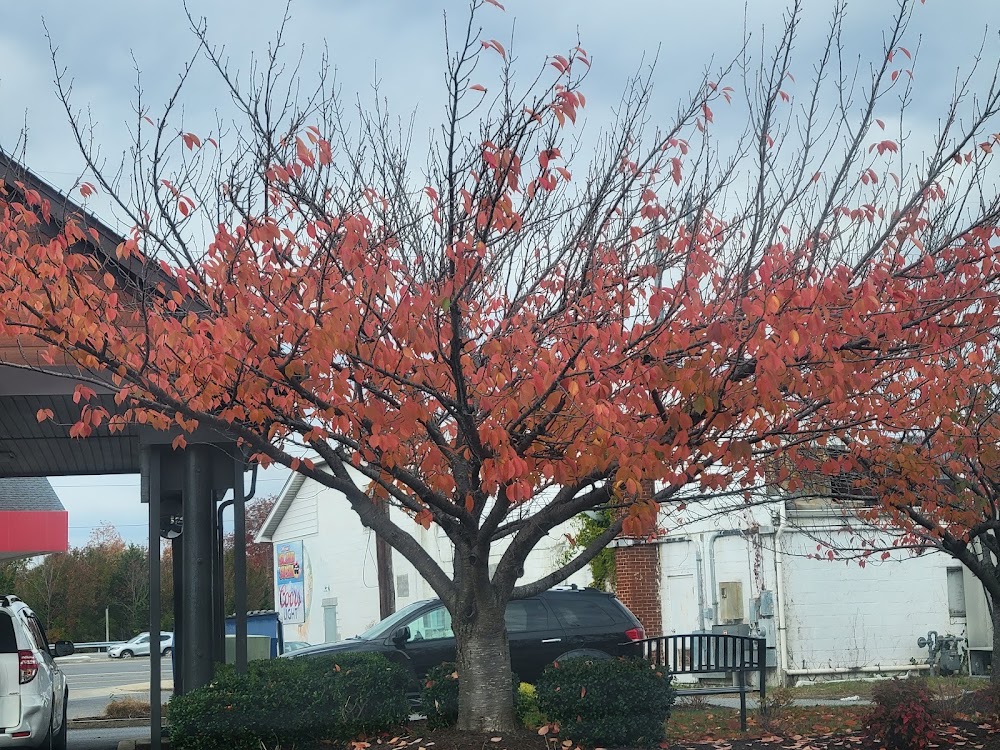 Greenwave Maryland photo 8