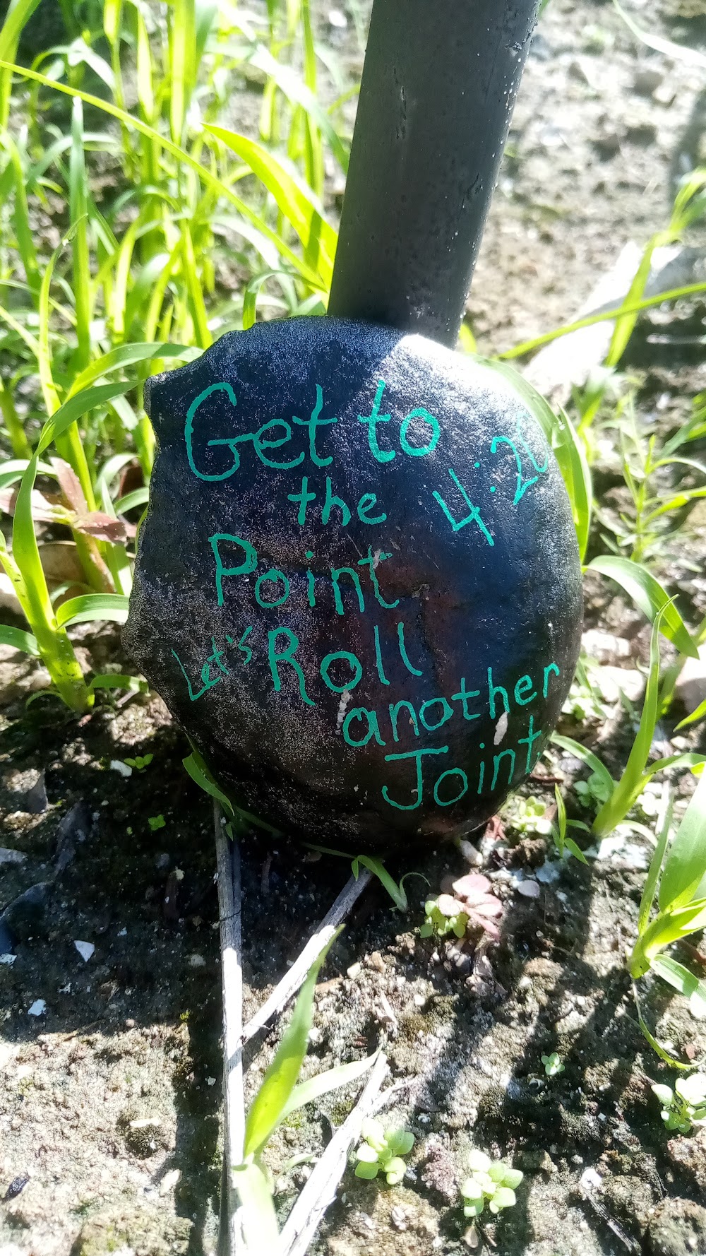 Growhealthy photo 7