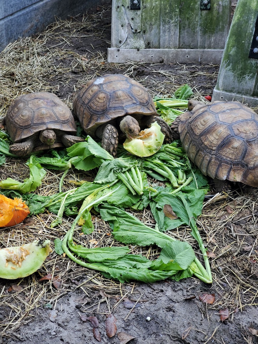 Growhealthy photo 5
