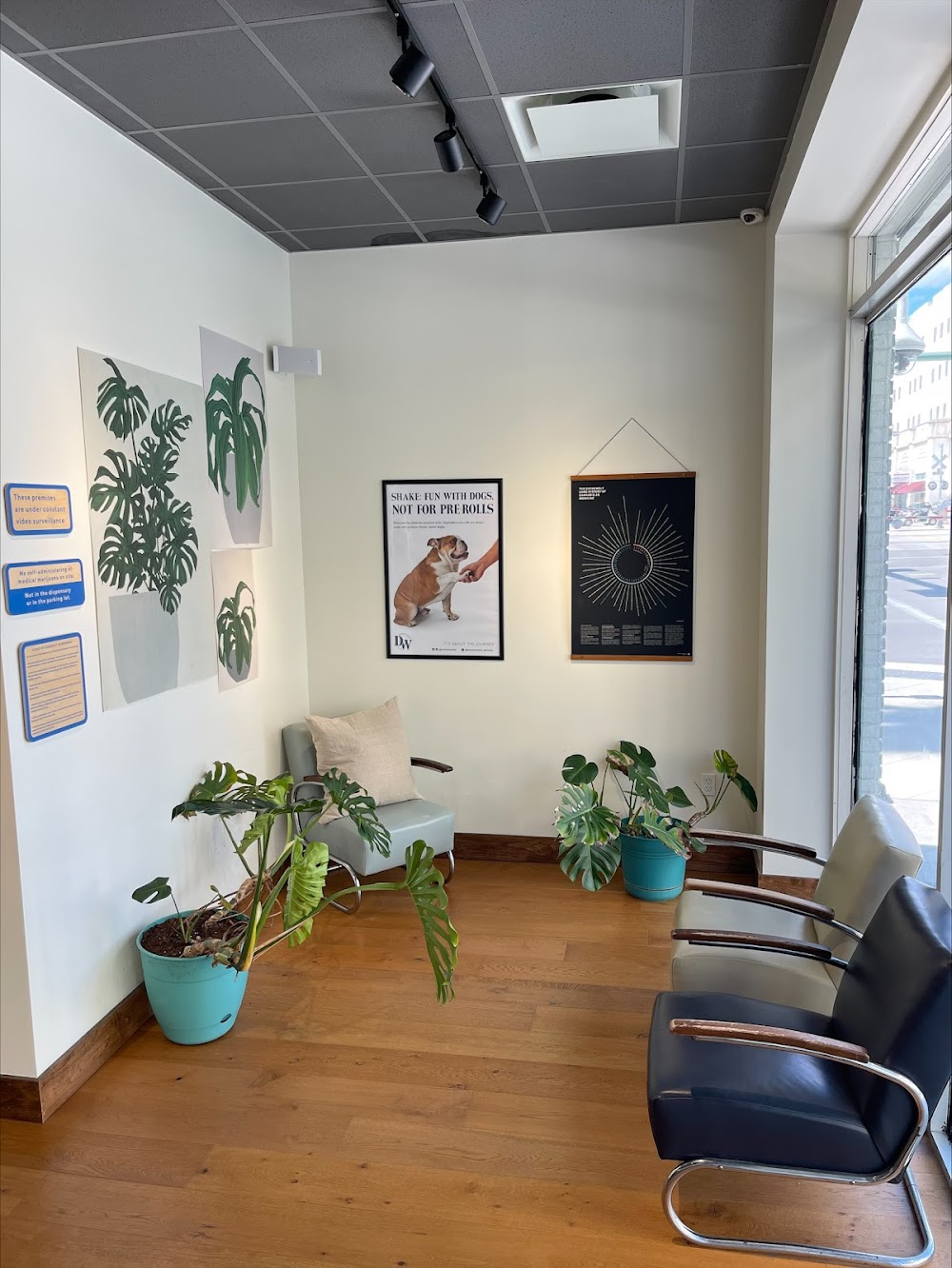 Gti (Rise Dispensaries) photo 8