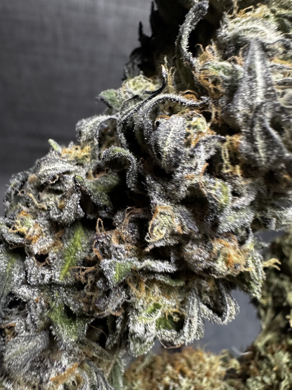Gti (Rise Dispensaries) photo 8