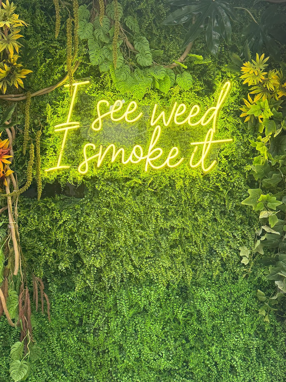 Hamm & Chaz Cannabis Dispensary photo 7