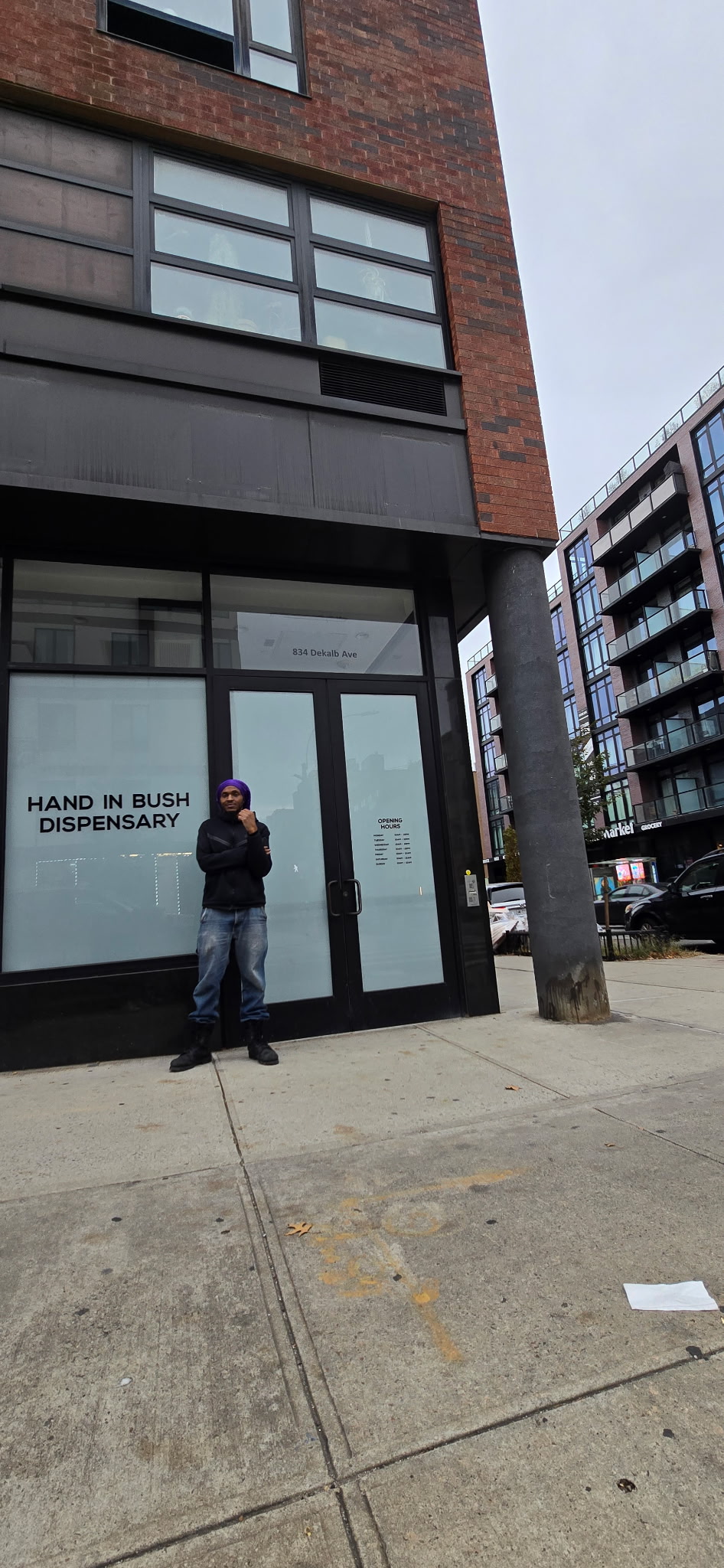 Hand In Bush photo 1