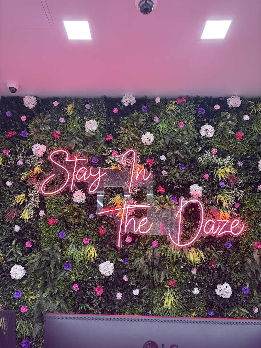 Happy Daze photo 7