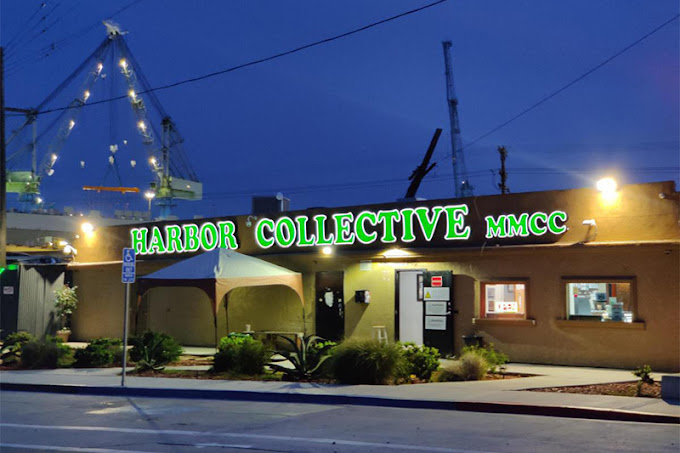 Harbor Collective photo 1