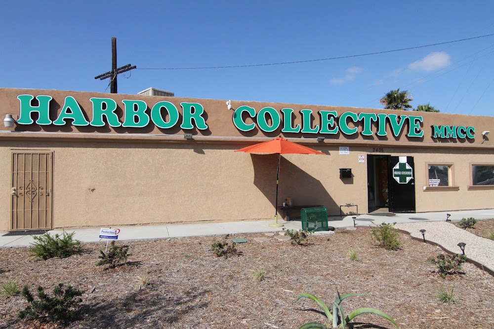 Harbor Collective photo 4